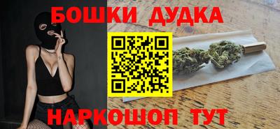 индика Будённовск