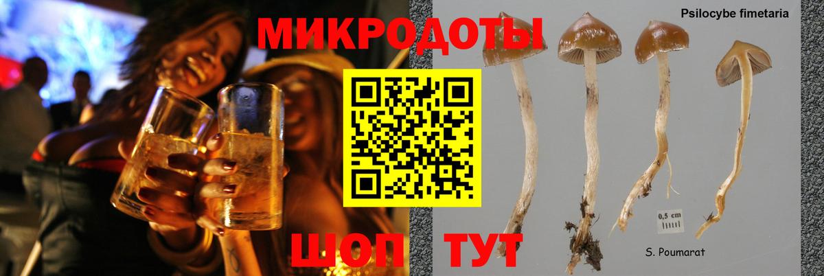 Галлюциногенные грибы ЛСД  Вход с VPN  хочу   Ступино 